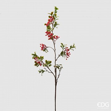 Па́дуб остроли́стный